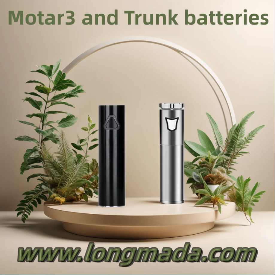 HOW TO CHOOSE BETWEEN LONGMADA TRUNK BATTERY AND MOTAR3 BATTERY